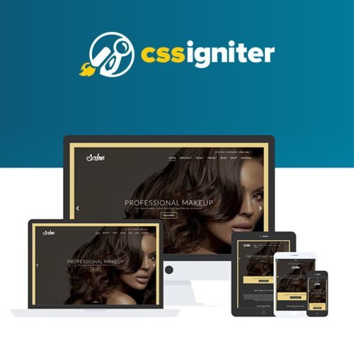 CSS-Igniter-Salon-WordPress-Theme.jpg